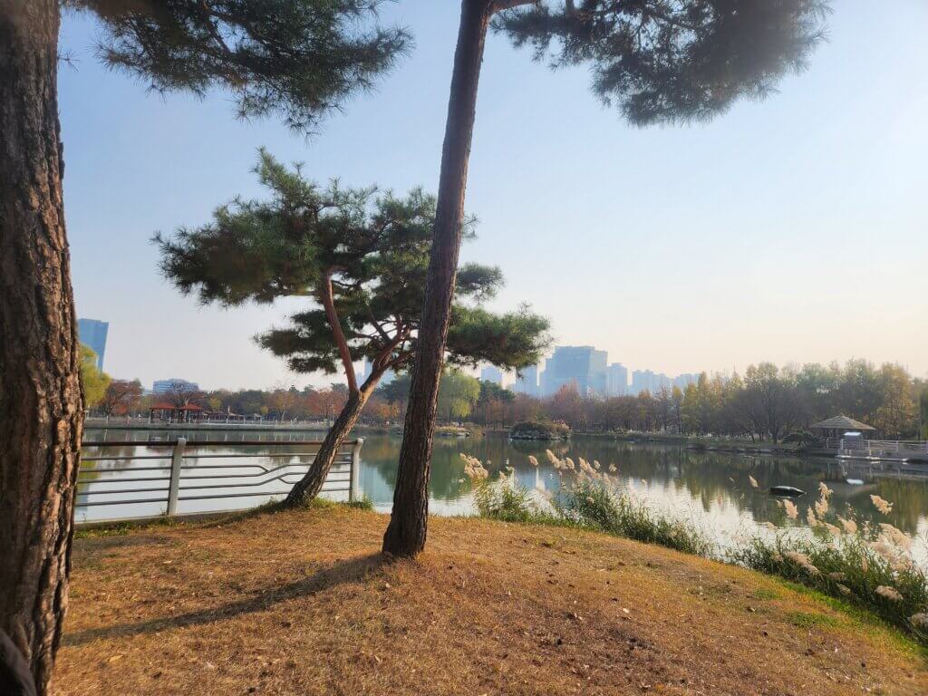 인천 가볼만한곳 송도 해돋이공원
