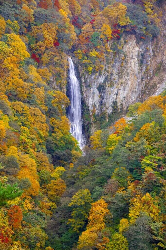 경기도 단풍 명소 7곳