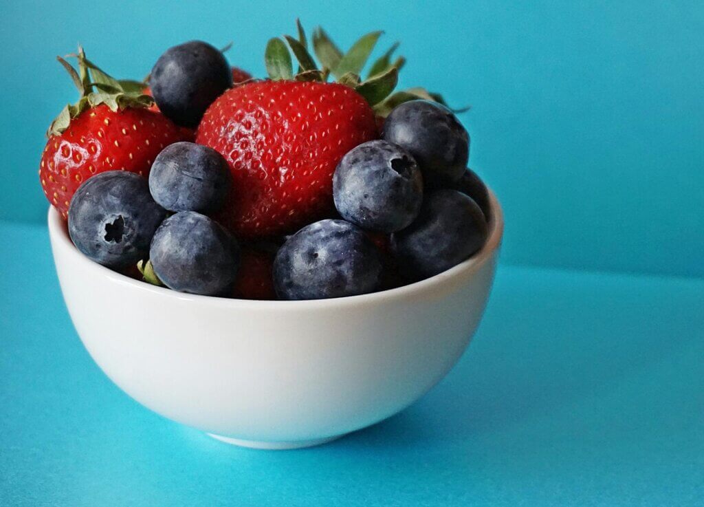 최고의 건강식품, 블루베리 효능 17가지