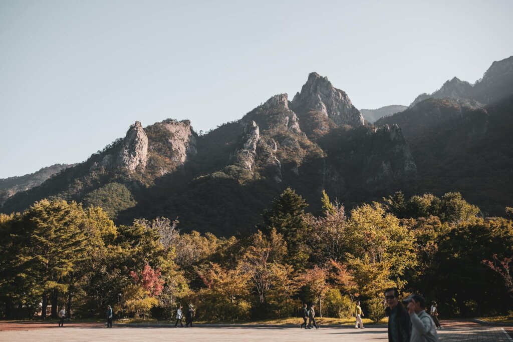 속초 가볼만한곳 7곳